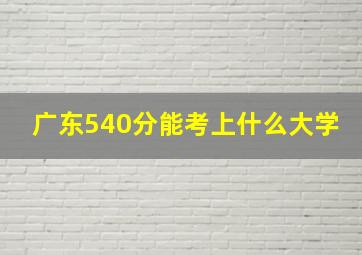 广东540分能考上什么大学