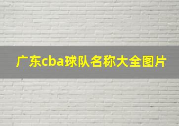 广东cba球队名称大全图片