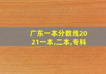 广东一本分数线2021一本,二本,专科