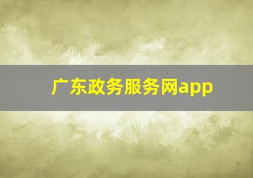 广东政务服务网app