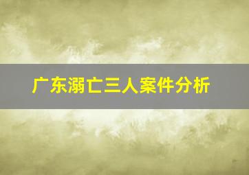 广东溺亡三人案件分析