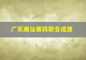 广东潮汕赛鸽联会成绩