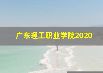 广东理工职业学院2020