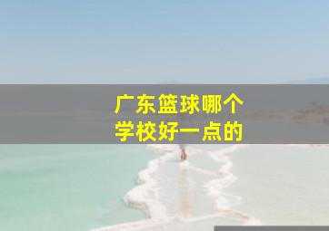 广东篮球哪个学校好一点的