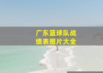 广东篮球队战绩表图片大全