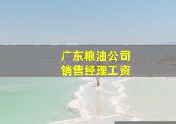 广东粮油公司销售经理工资