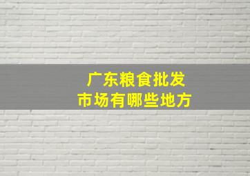 广东粮食批发市场有哪些地方