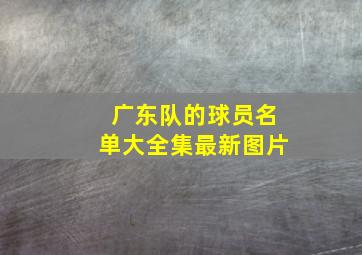 广东队的球员名单大全集最新图片