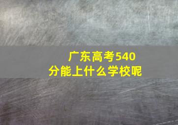 广东高考540分能上什么学校呢