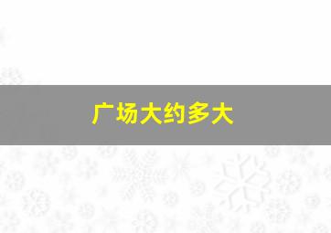 广场大约多大