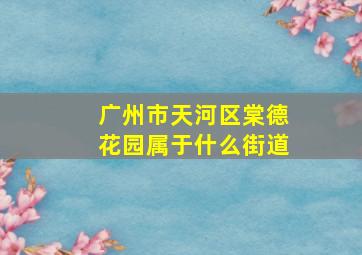 广州市天河区棠德花园属于什么街道