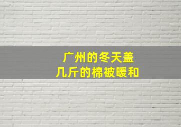 广州的冬天盖几斤的棉被暖和