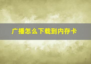 广播怎么下载到内存卡