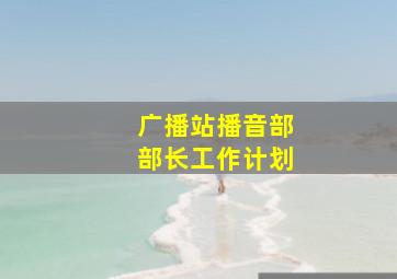 广播站播音部部长工作计划