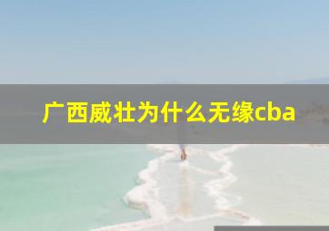 广西威壮为什么无缘cba