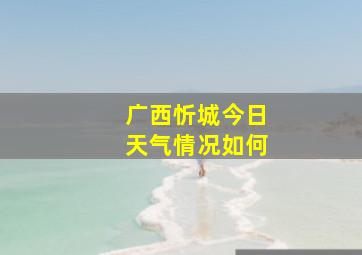 广西忻城今日天气情况如何