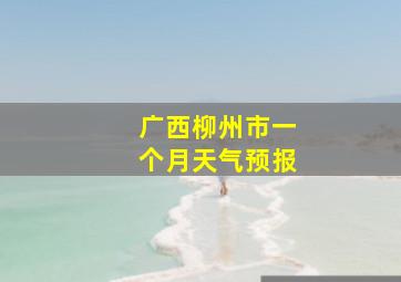 广西柳州市一个月天气预报