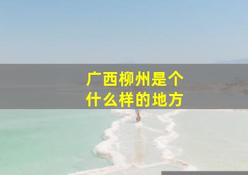 广西柳州是个什么样的地方