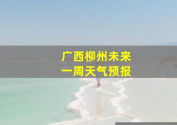 广西柳州未来一周天气预报