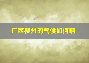 广西柳州的气候如何啊