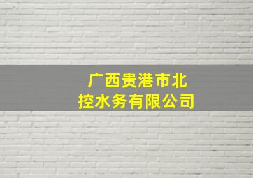 广西贵港市北控水务有限公司