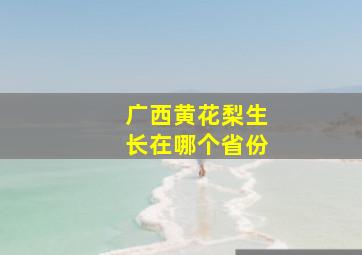 广西黄花梨生长在哪个省份