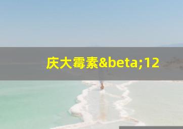 庆大霉素β12