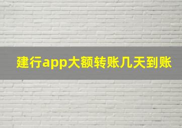 建行app大额转账几天到账