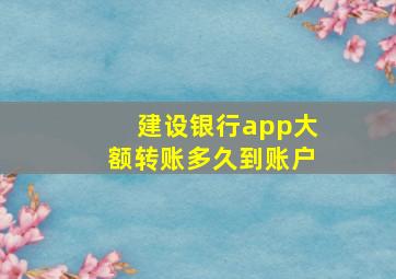 建设银行app大额转账多久到账户