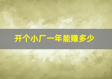 开个小厂一年能赚多少