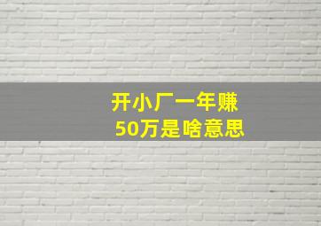 开小厂一年赚50万是啥意思