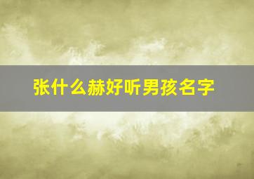 张什么赫好听男孩名字