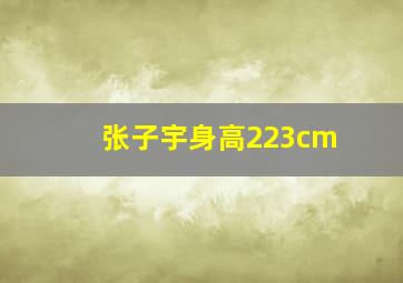 张子宇身高223cm