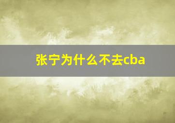 张宁为什么不去cba