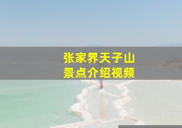 张家界天子山景点介绍视频