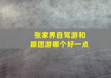 张家界自驾游和跟团游哪个好一点