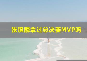 张镇麟拿过总决赛MVP吗