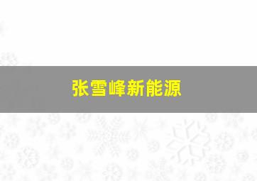 张雪峰新能源