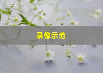 录像示范