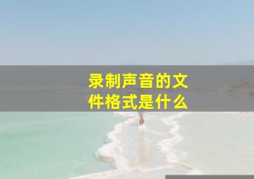 录制声音的文件格式是什么