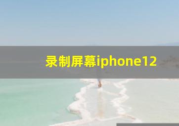 录制屏幕iphone12