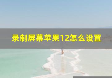 录制屏幕苹果12怎么设置