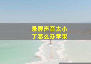 录屏声音太小了怎么办苹果