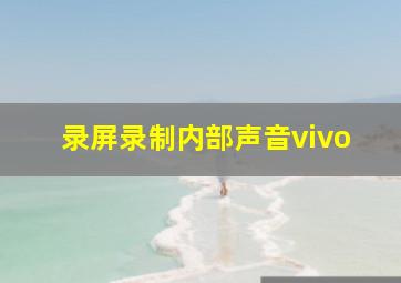 录屏录制内部声音vivo