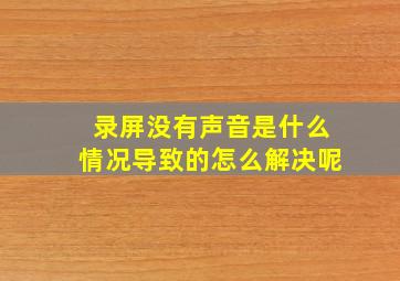 录屏没有声音是什么情况导致的怎么解决呢