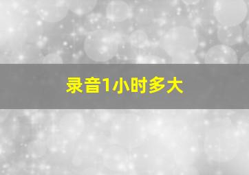 录音1小时多大