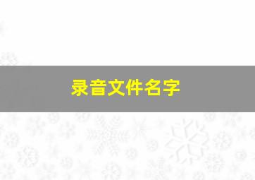 录音文件名字