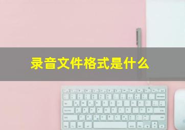 录音文件格式是什么