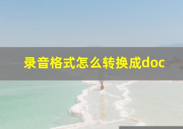 录音格式怎么转换成doc