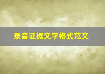 录音证据文字格式范文